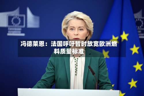 冯德莱恩：法国呼吁暂时放宽欧洲燃料质量标准