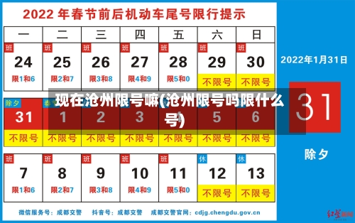 现在沧州限号嘛(沧州限号吗限什么号)