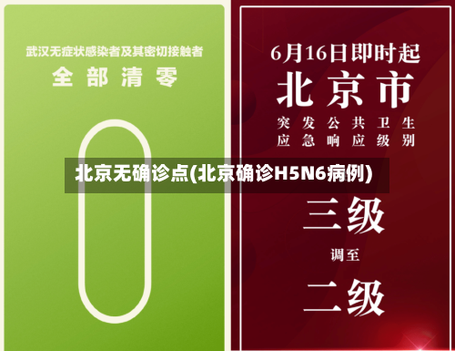 北京无确诊点(北京确诊H5N6病例)