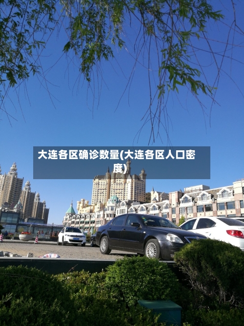 大连各区确诊数量(大连各区人口密度)