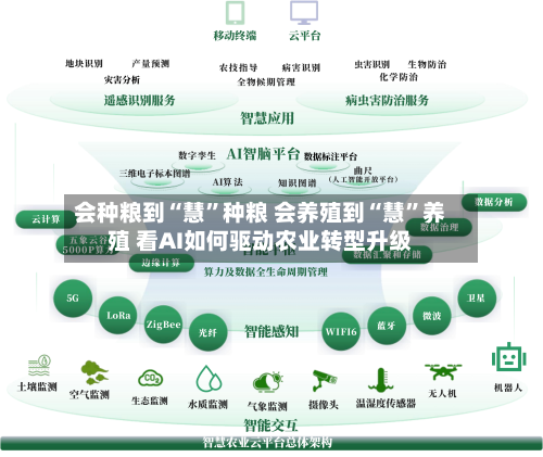 会种粮到“慧”种粮 会养殖到“慧”养殖 看AI如何驱动农业转型升级