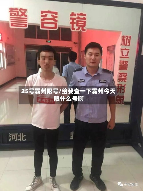 25号霸州限号/给我查一下霸州今天限什么号啊