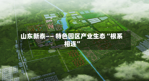 山东新泰—— 特色园区产业生态“根系相连”