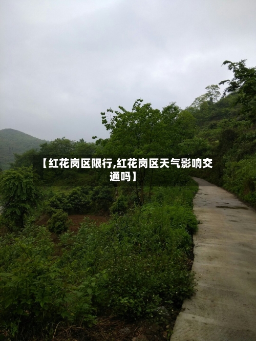 【红花岗区限行,红花岗区天气影响交通吗】