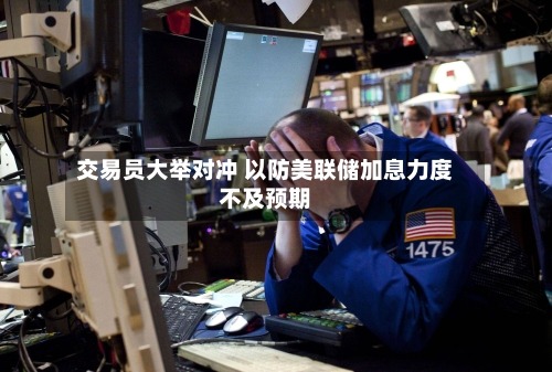 交易员大举对冲 以防美联储加息力度不及预期-第1张图片