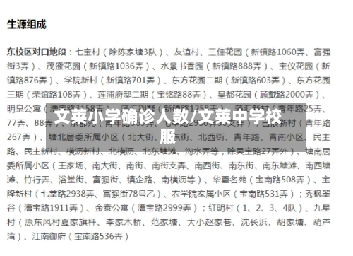文莱小学确诊人数/文莱中学校服