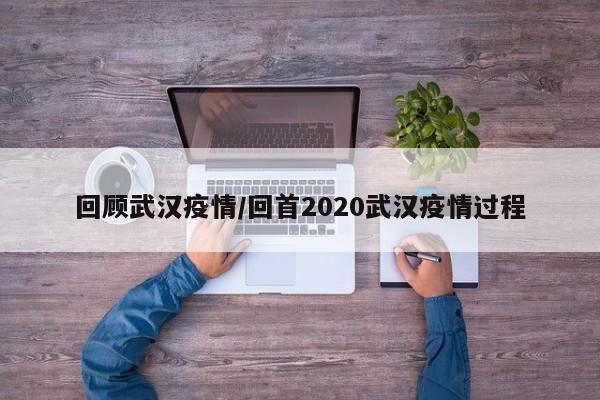 回顾武汉疫情/回首2020武汉疫情过程