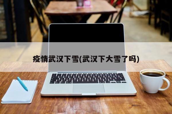 疫情武汉下雪(武汉下大雪了吗)