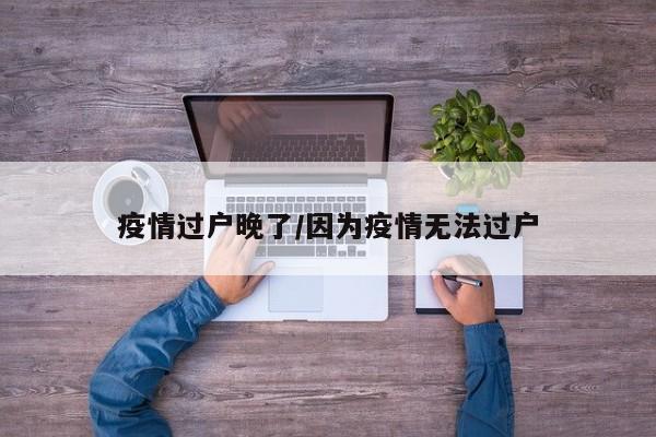 疫情过户晚了/因为疫情无法过户